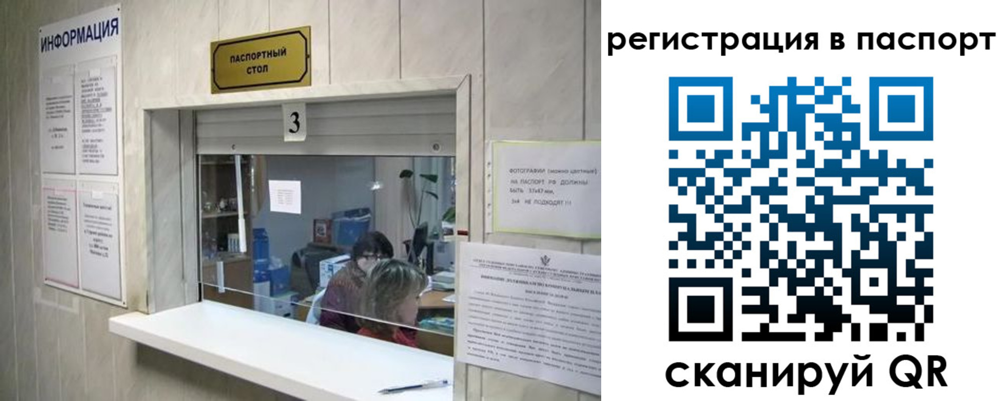 прописка поиск в Славгороде